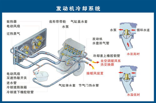 汽车上每个零件我都给你标清晰了,别再问我叫什么